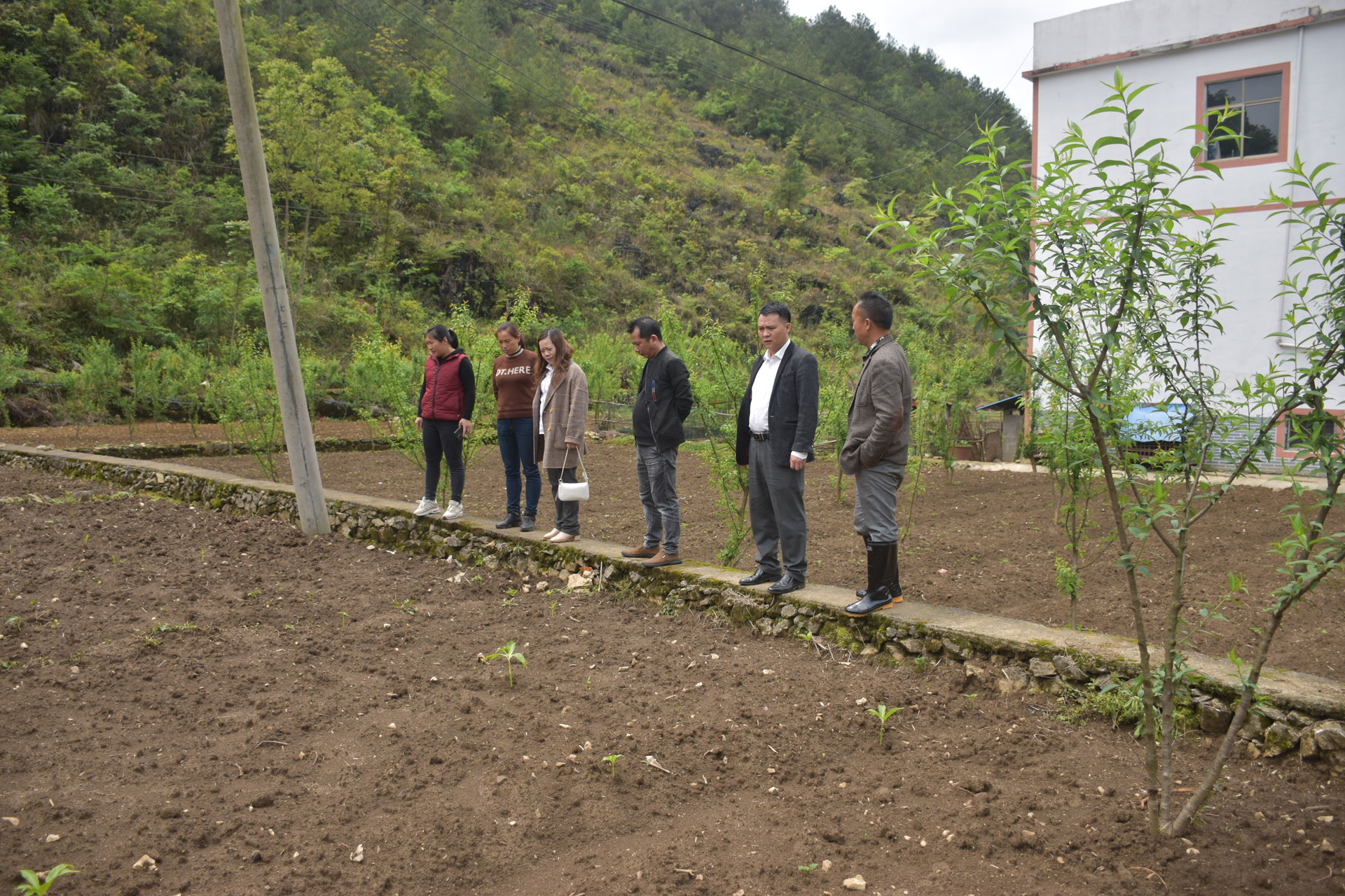 到聯(lián)系村沫陽董架村生姜基地開展實(shí)地調(diào)研
